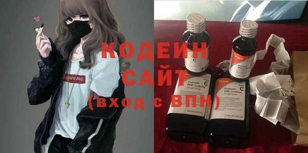 хмурый Аркадак