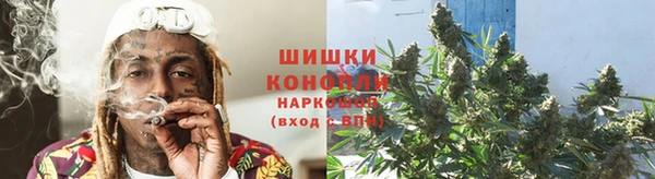 хмурый Аркадак