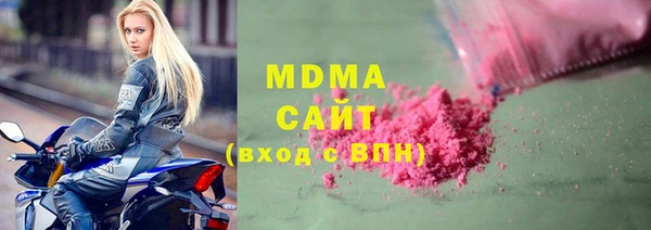 хмурый Аркадак