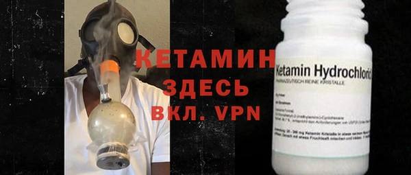хмурый Аркадак