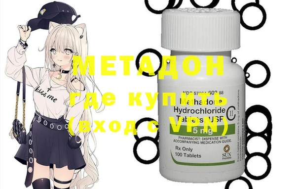 хмурый Аркадак