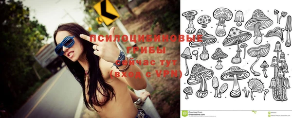 метадон Армянск