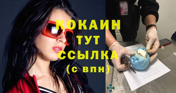 хмурый Аркадак