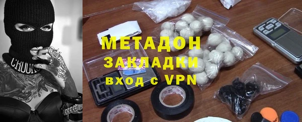хмурый Аркадак
