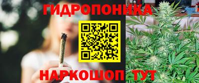 спайс Кинель