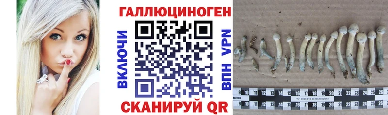 что такое наркотик  Коломна  мориарти состав  Галлюциногенные грибы мицелий 