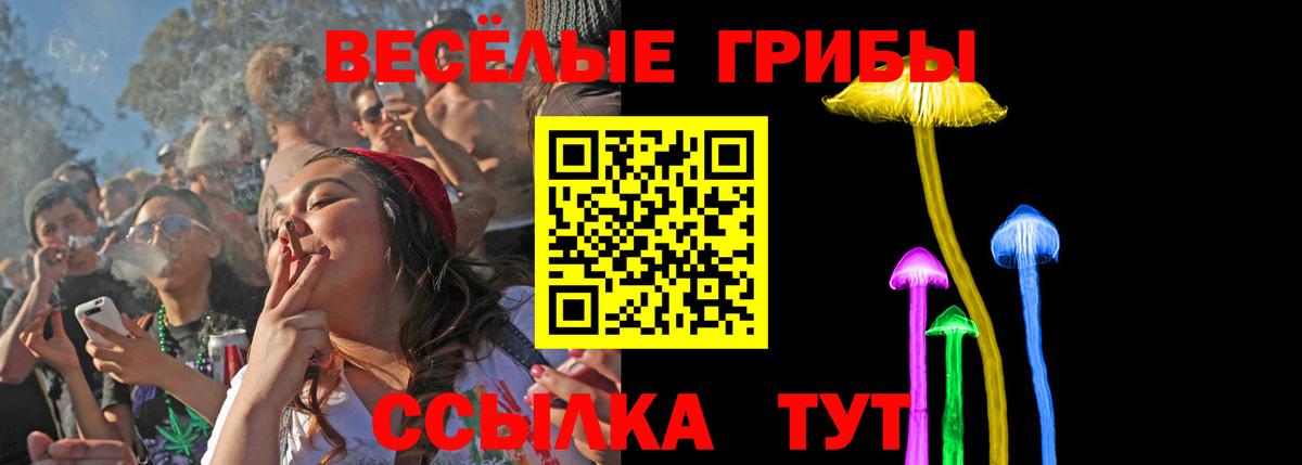 Коломна  цены   Вход с VPN  Галлюциногенные грибы мицелий 