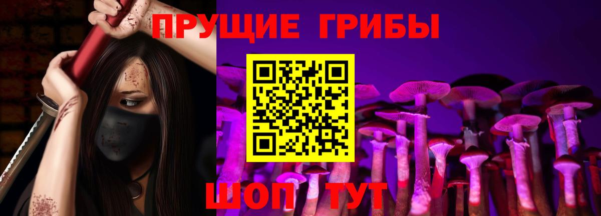 Псилоцибиновые грибы мицелий Коломна